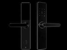 青松沃德-Wi-Fi 指紋鎖家用防盜門智能門鎖密碼鎖刷卡電子鎖 防磁干擾 防撬 L9-WT (不含鎖體，鎖體需另購(gòu)）